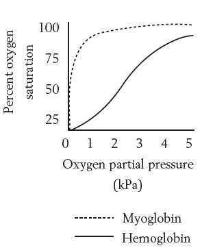 Myoglobin is expressed in muscle cells. The difference between the
