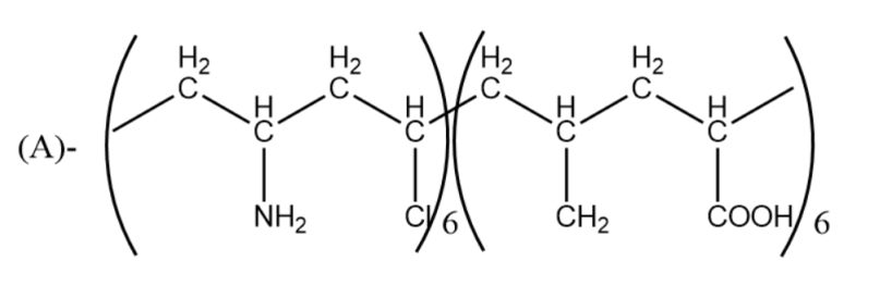 Which one of the following structures represents nylon-6,6 polymer