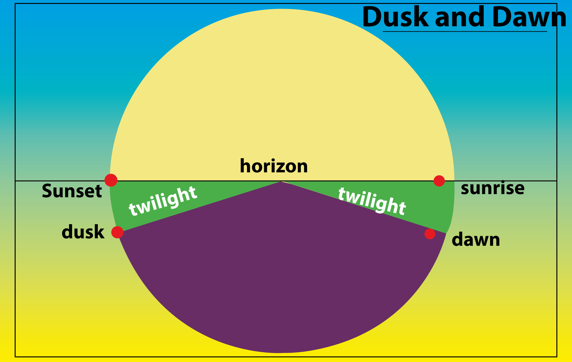 An animal active during dawn and dusk is called,(A) Auroral(B) Vesperal(C)  Crepuscular(D) Diurnal