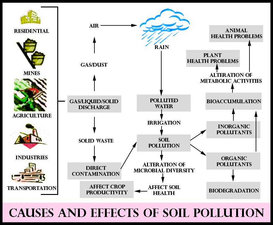 Soil Pollution Definition Causes Types Effects And Co - vrogue.co