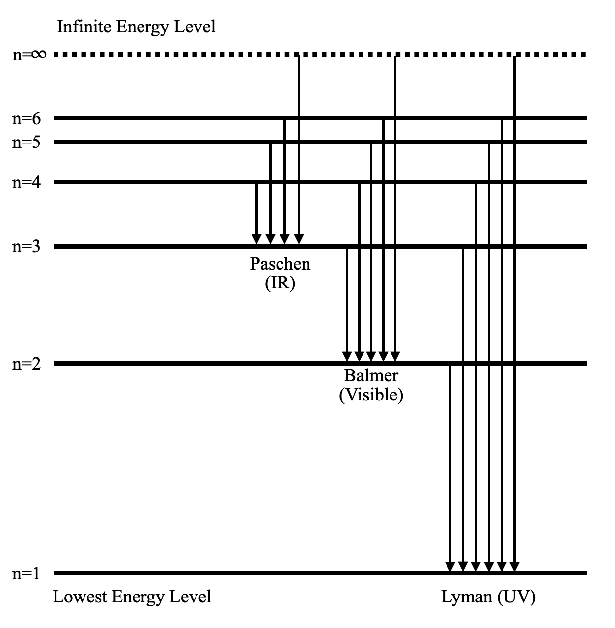 Draw A Neat Labelled Energy Level Diagram Of The Hydrogen Class 12 Physics Cbse