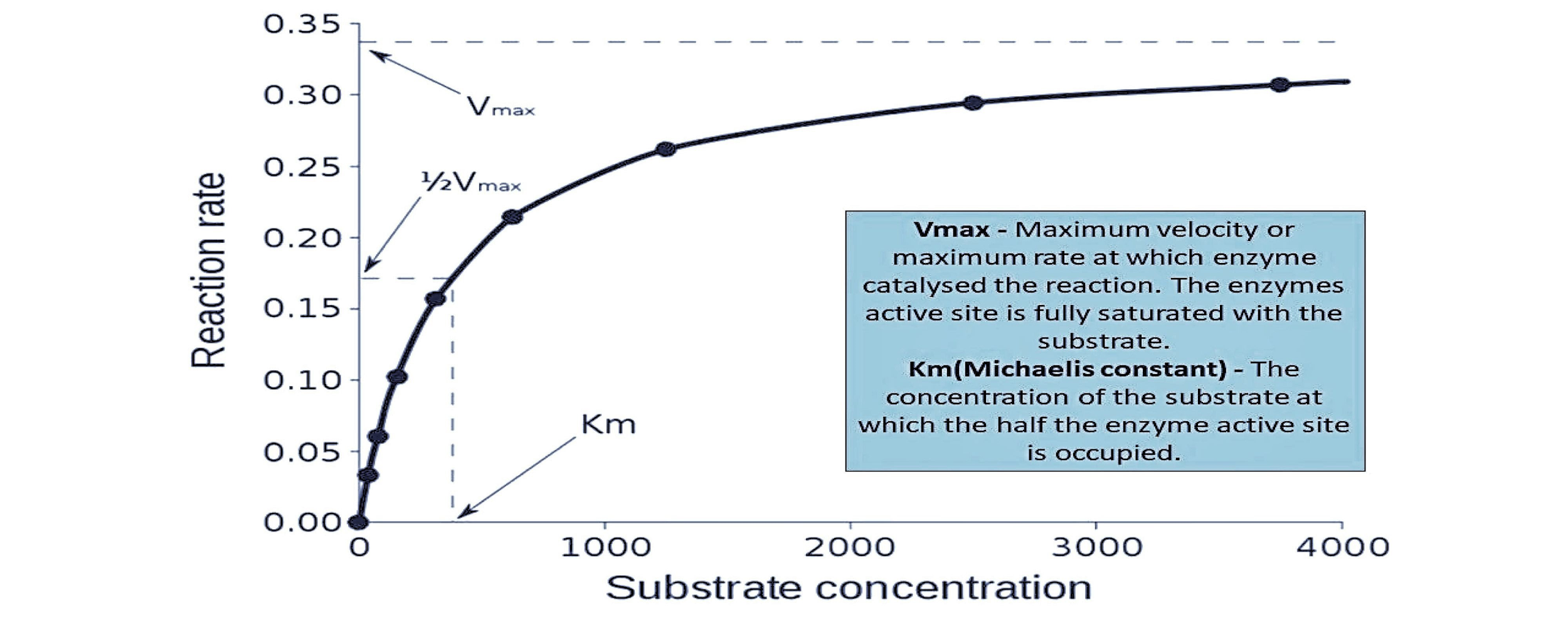 If you study the effect of substrate concentration class