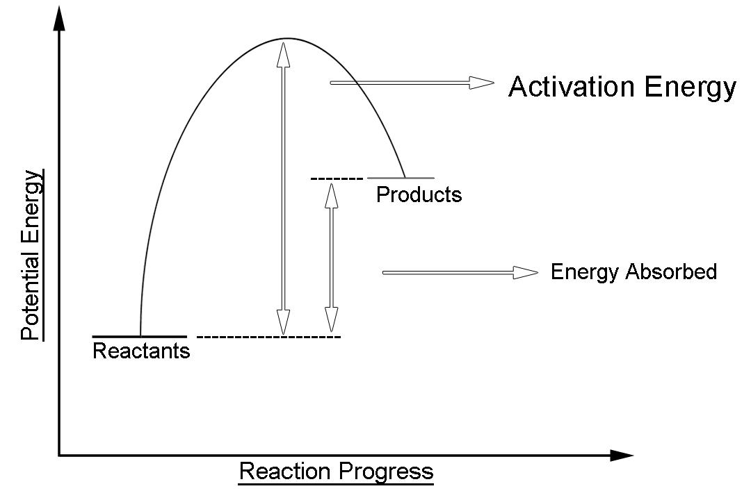 Endothermic Reaction Diagram