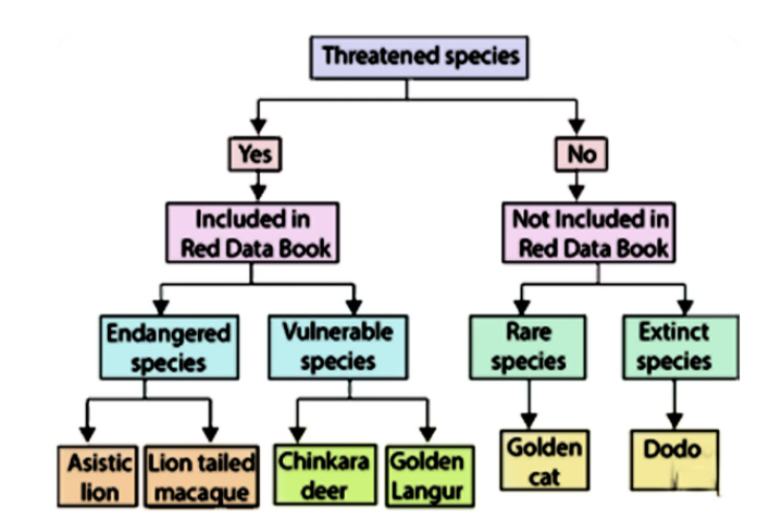 Which of this is\/are incorrect in the flow chart?\n \n \n \n \n (A)Asiatic  lion and lion-tailed macaque(B)Vulnerable species(C)Dodo(D)Golden cat and  chinkara deer
