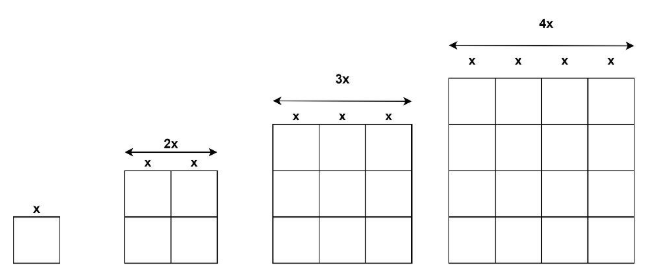 Which numbers can be shown as squares?