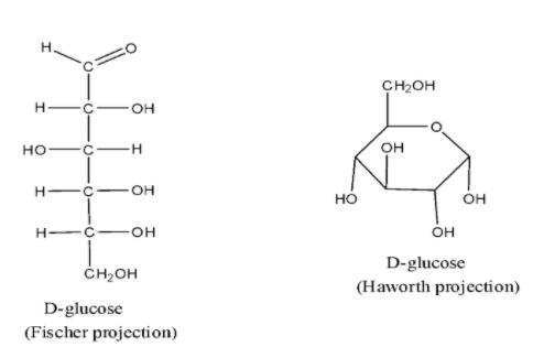 Update more than 71 monosaccharide ring structure super hot - vova.edu.vn