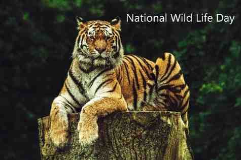 Significance of World Wildlife Conservation Day