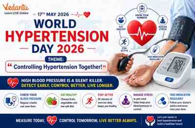 World Bamboo Day 2024 - Sept 18: Explore Bamboo's Benefits