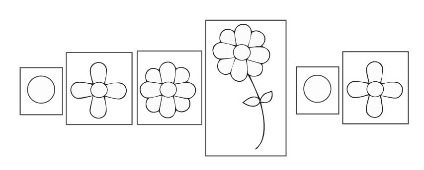 Shape pattern of flowers
