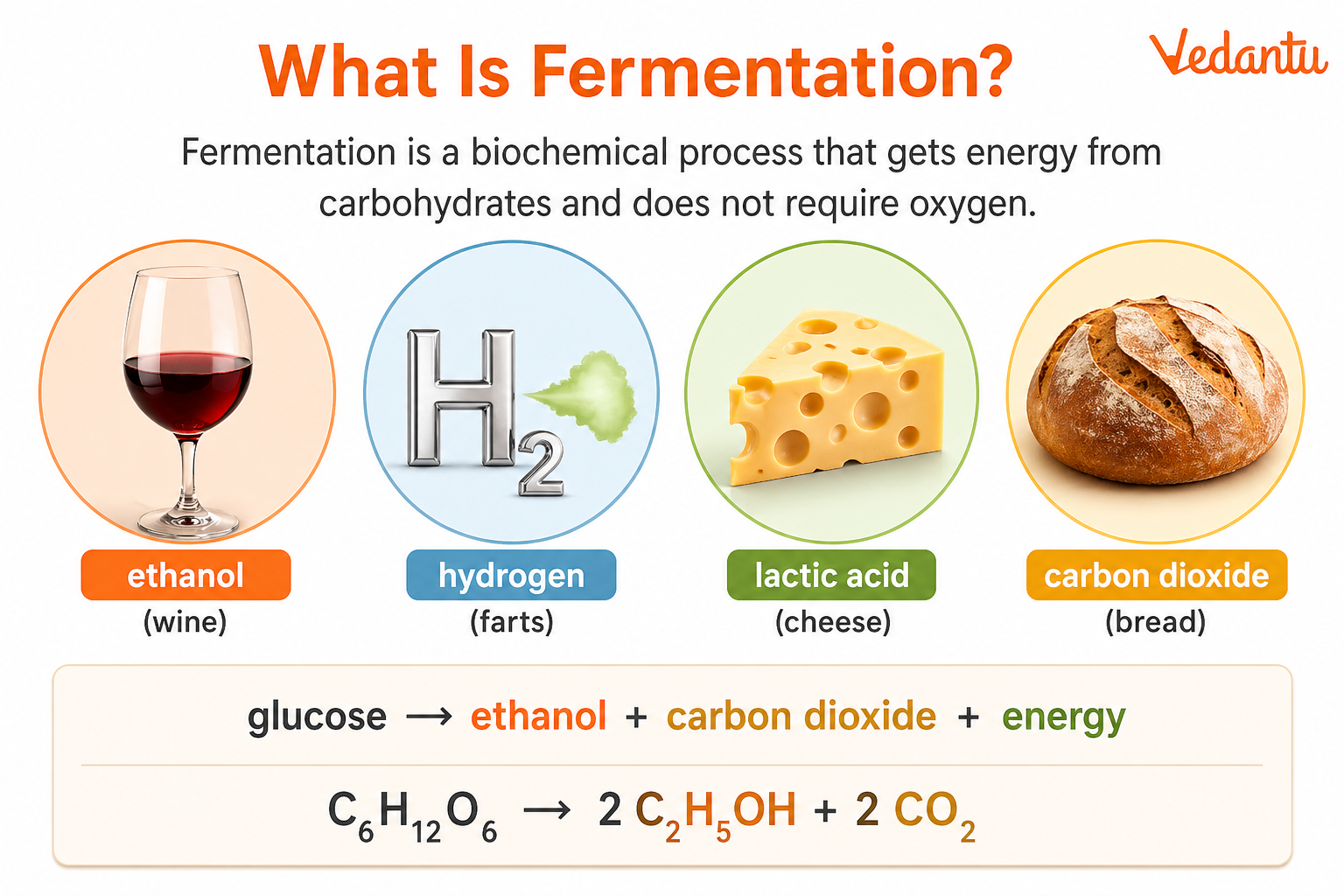 Fermentation Diagram