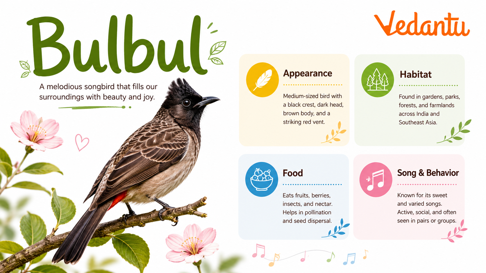 Bulbul bird sitting on a branch