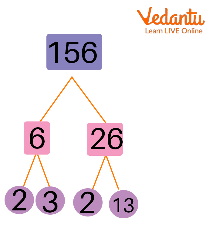 Factor Tree of $156$