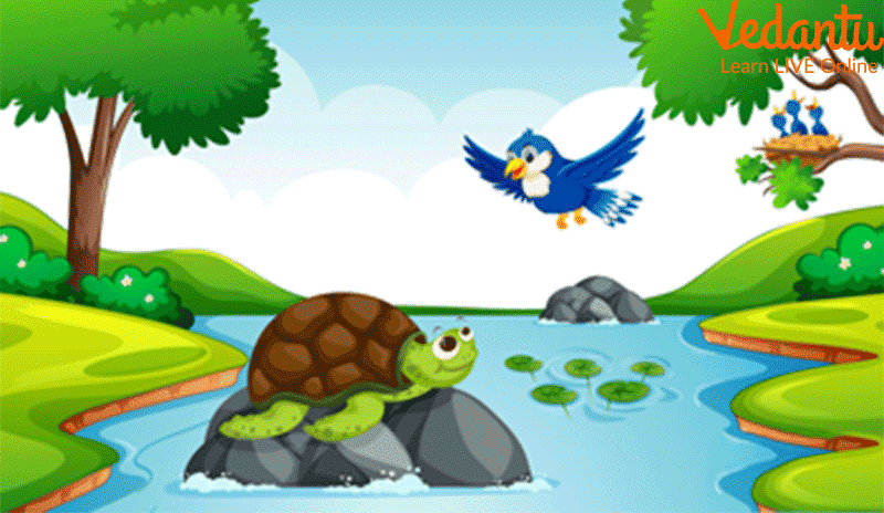 Tortoise and the Bird