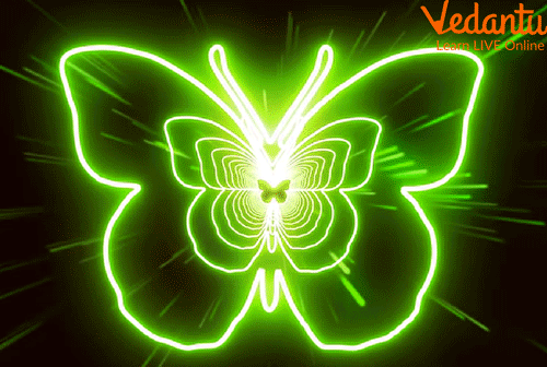 Butterfly Neon Signs