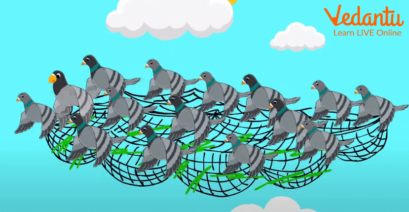 A flock of pigeons flying with a net