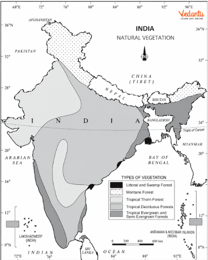 Figure 5.2 – Natural Vegetation