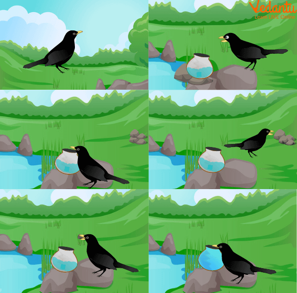 The Thirsty Crow Story