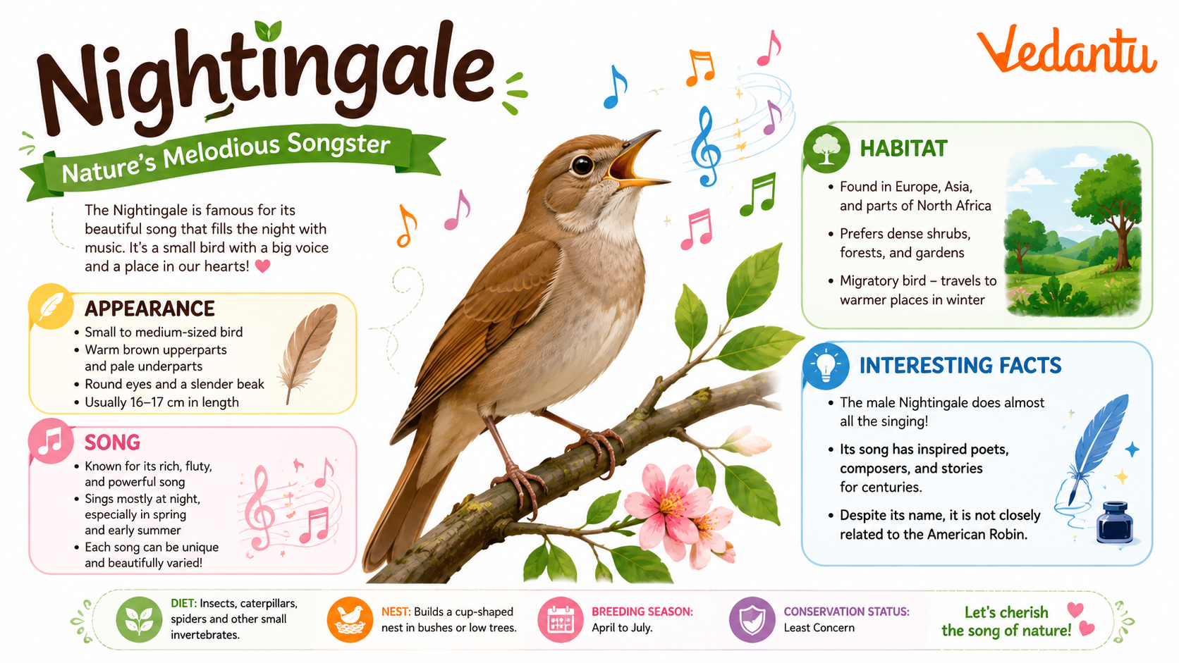 Nightingale bird perched on branch