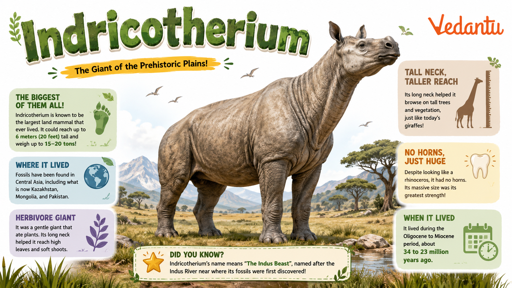 Indricotherium prehistoric giant mammal