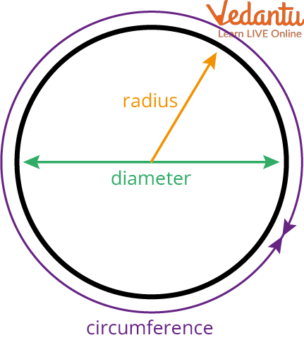 The Components of the Circle
