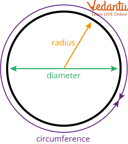 Converting A Circle into a Rectangle