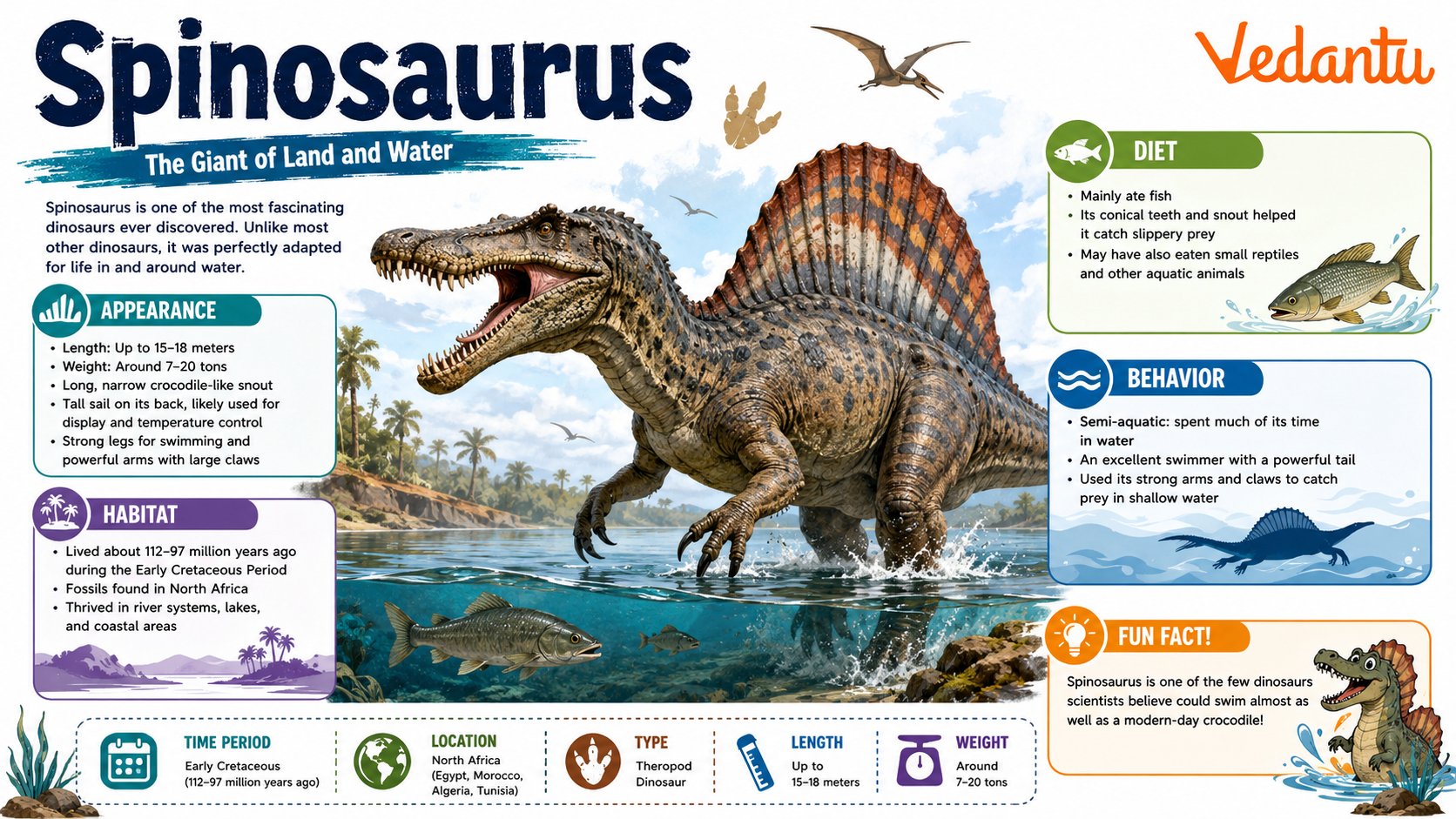 Spinosaurus dinosaur with large sail on its back