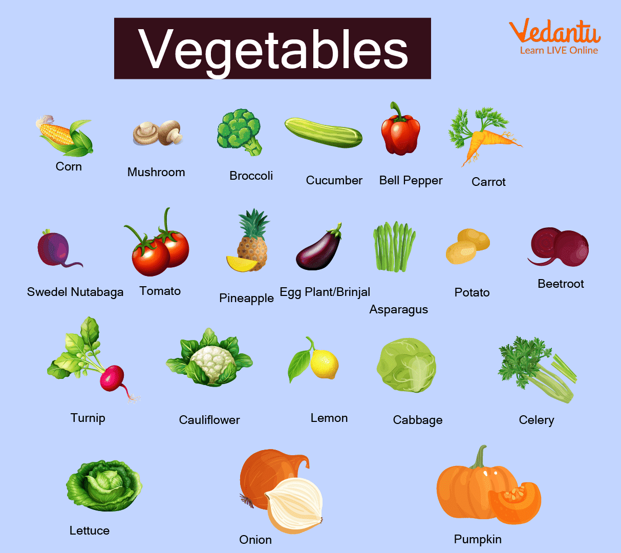 Variety of Vegetables