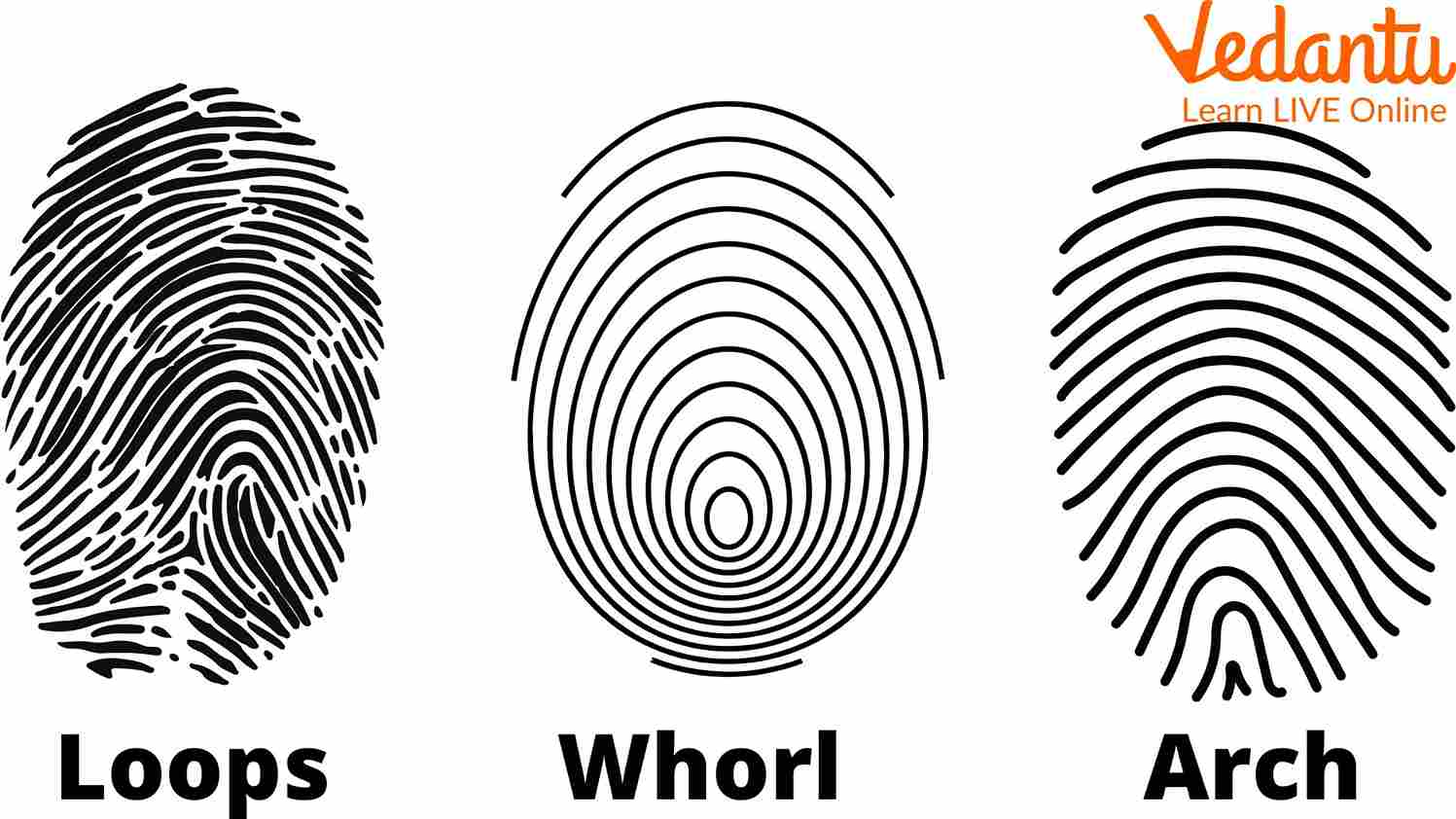 Fingerprints are Unique