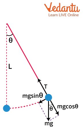 Freebody diagram of the pendulum