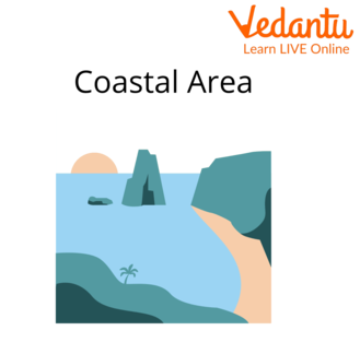 Coastal habitat