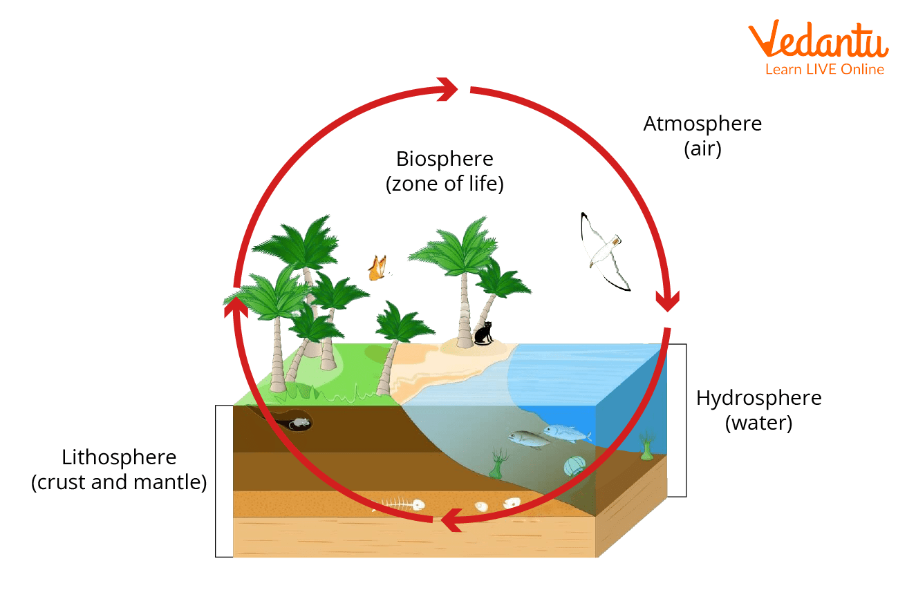 essay on biosphere ecosystem