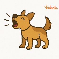 The dog barks loudly at the stranger