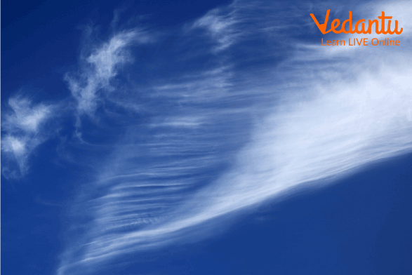 Cirrus clouds