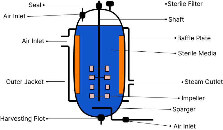 Simple Stirred-Tank Bioreactor