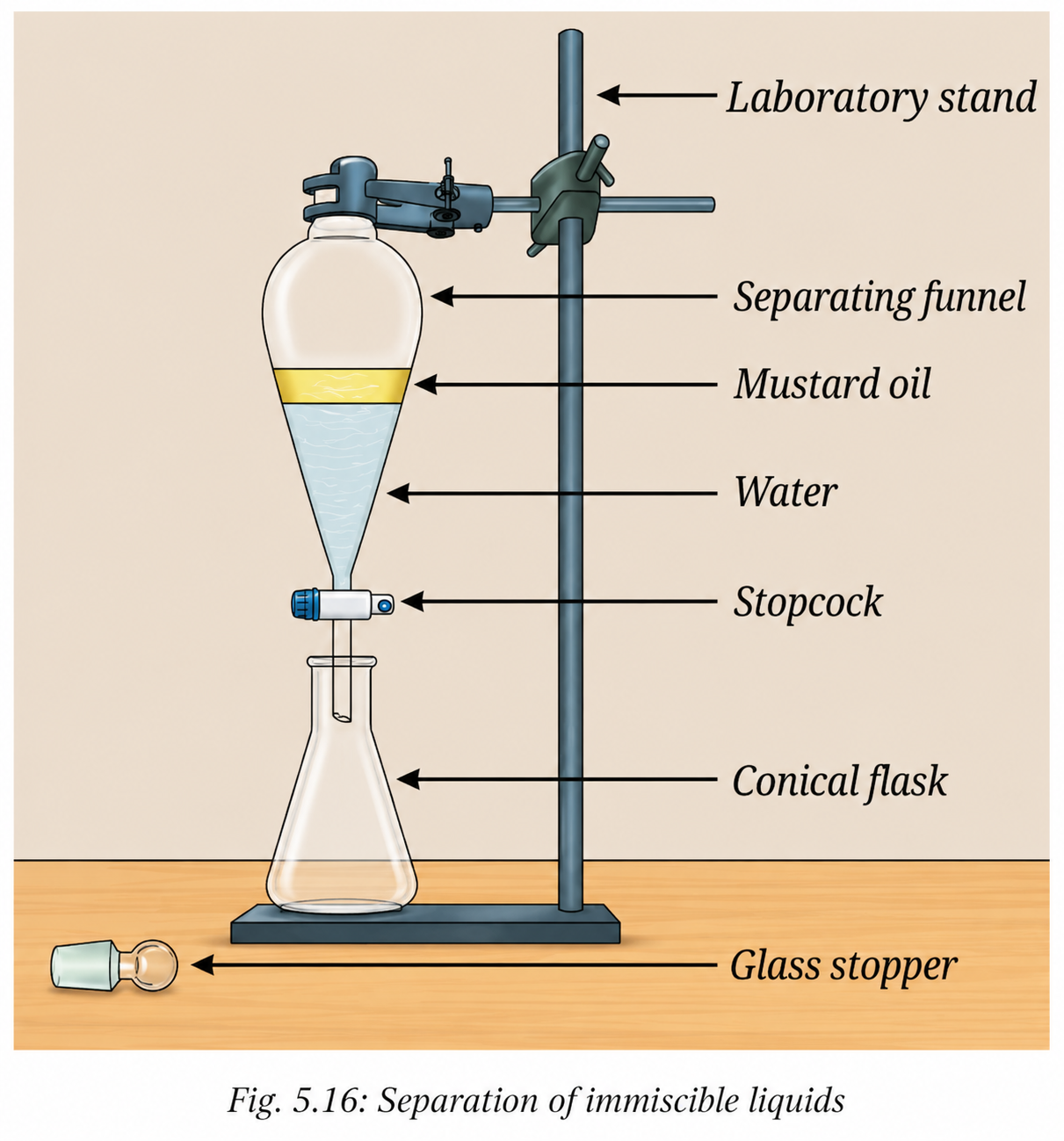 The oil layer remains in the funnel and can be collected separately.png