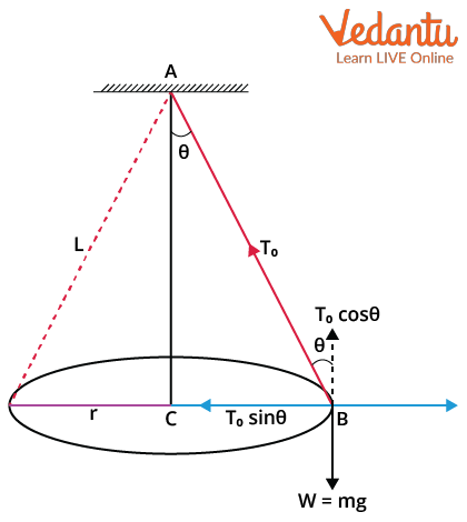 Schematic diagram of a conical pendulum