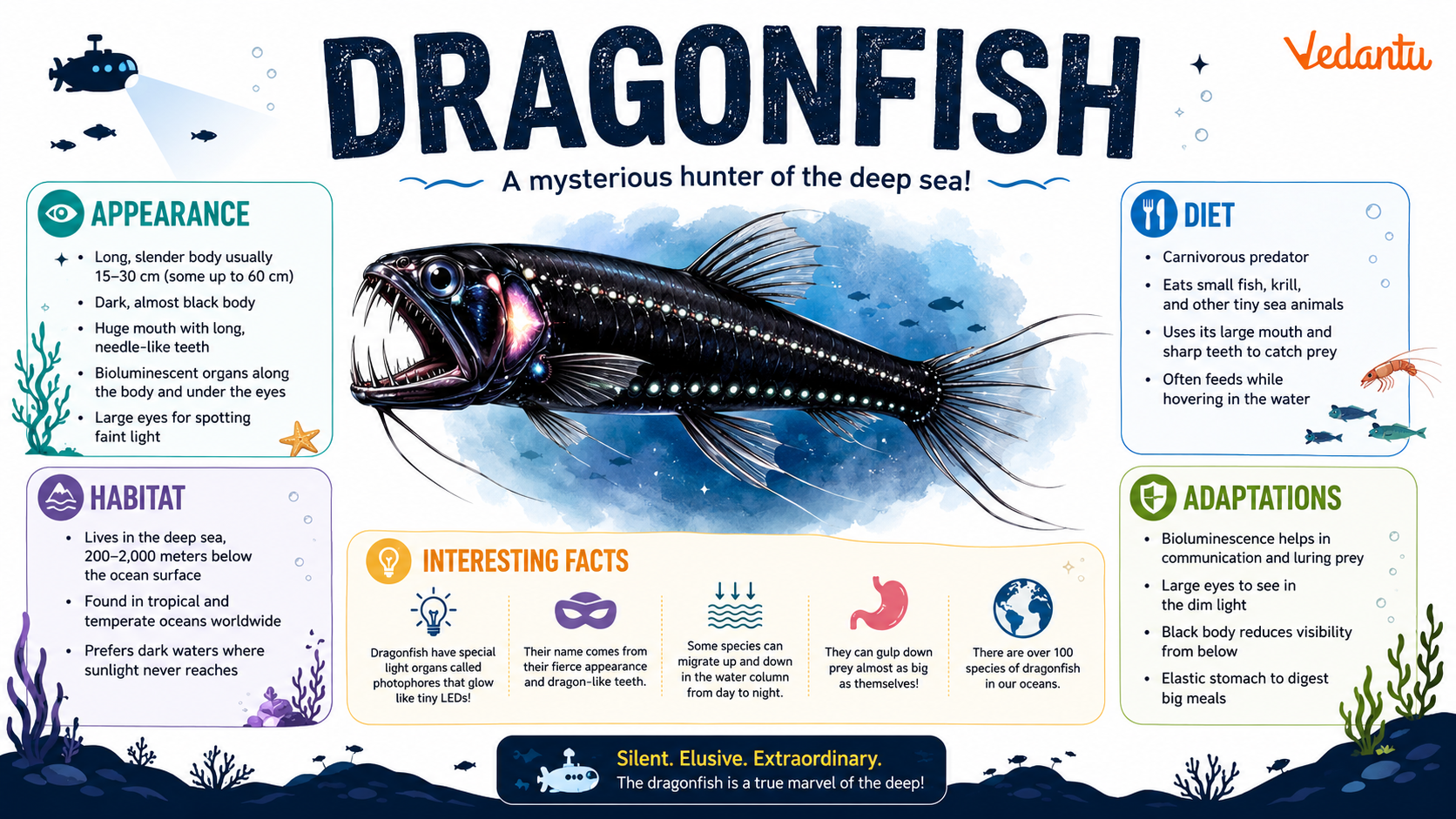 Dragonfish deep sea glowing fish with sharp teeth