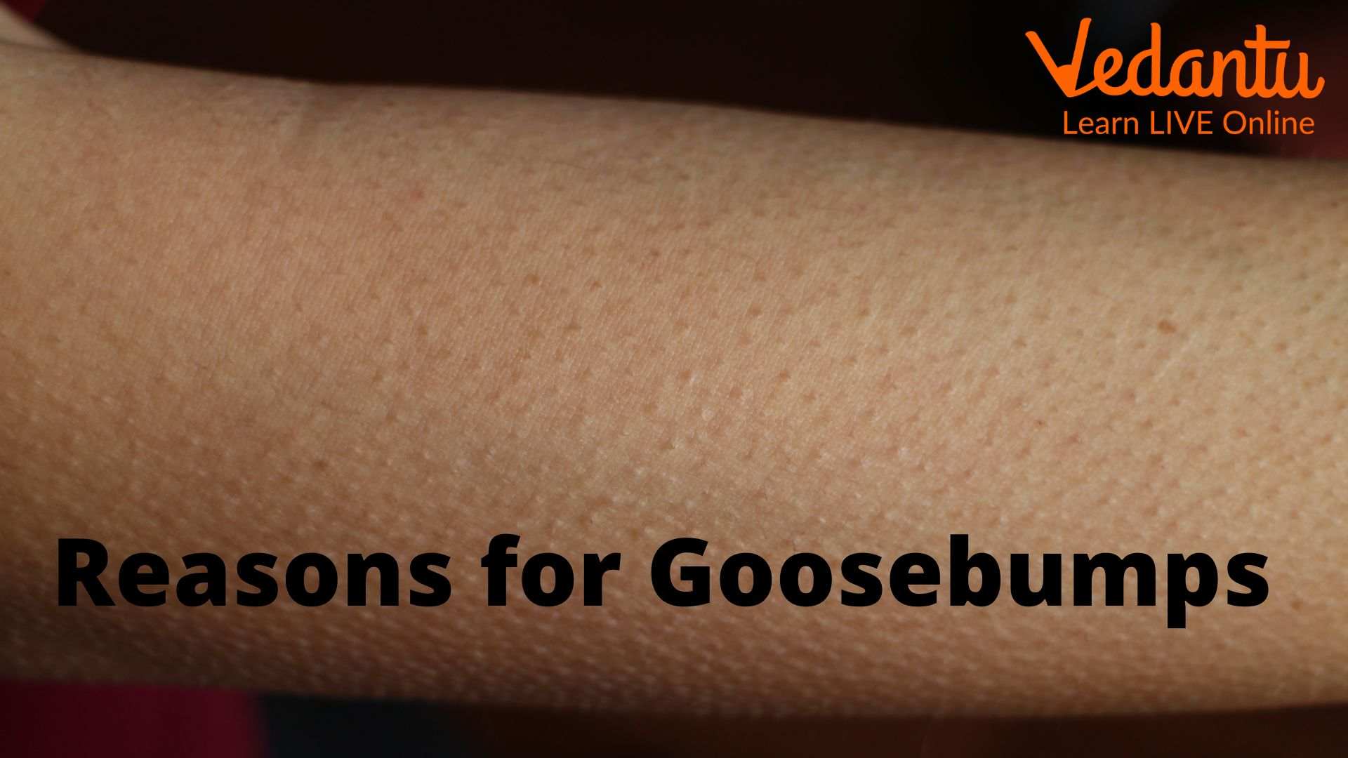 Reasons for Goosebumps