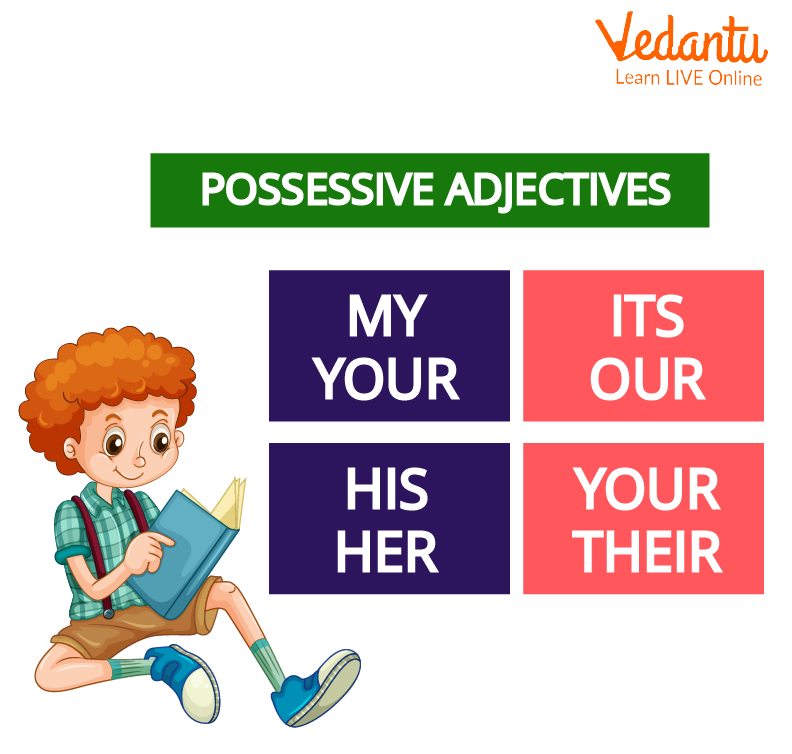 Possessive Adjectives