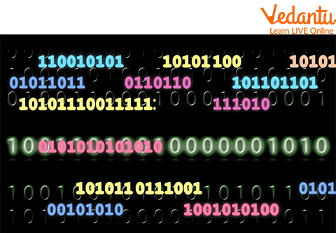 Binary Format