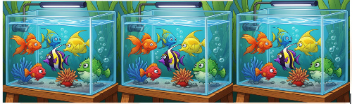 3 fish tanks having 6 fish in each tank