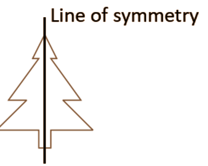 1 line of symmetry
