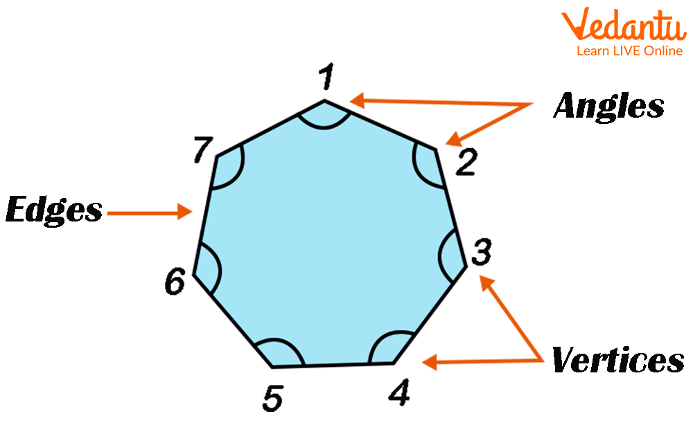 Heptagon Shape