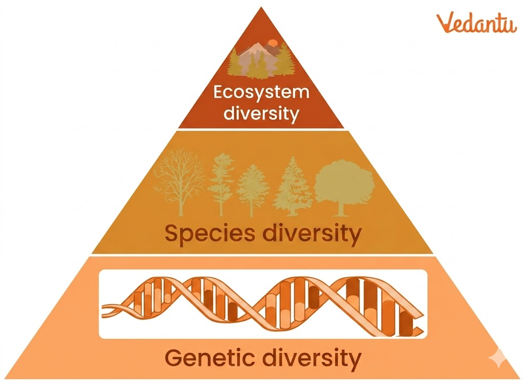 Biodiversity - genetic diversity images