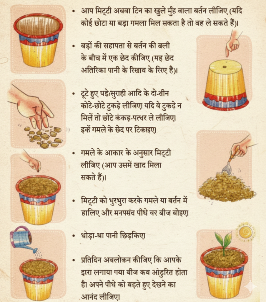 मेरा पौधा