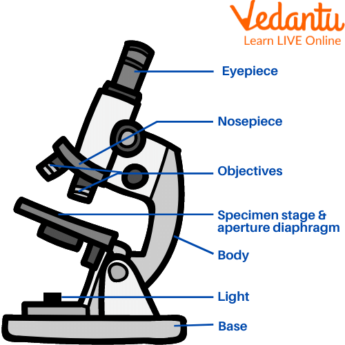 Image showing Simple Microscope