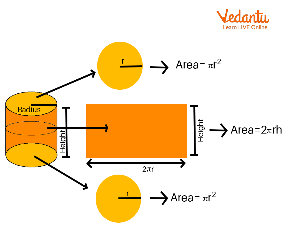 Cylinder expanded in the shape of a rectangle