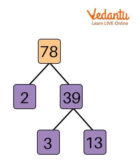 Factor Tree of 78