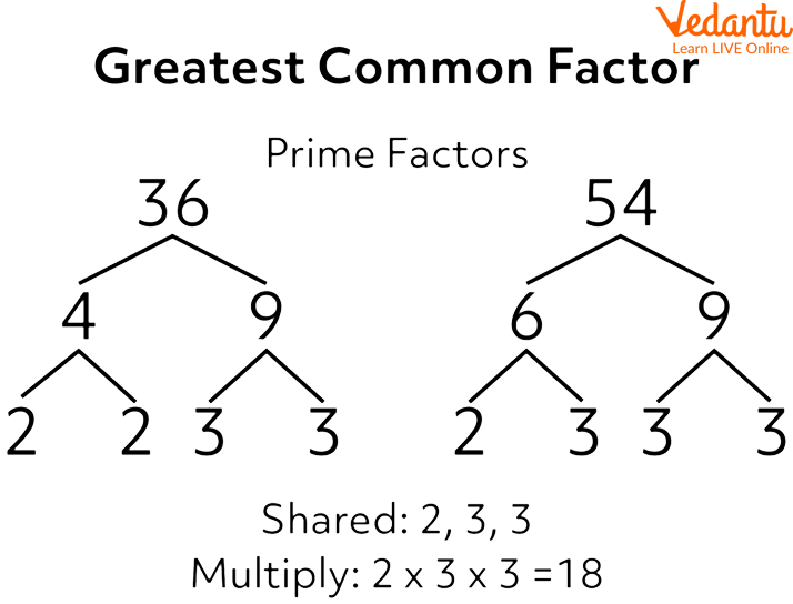 Prime Factorisation