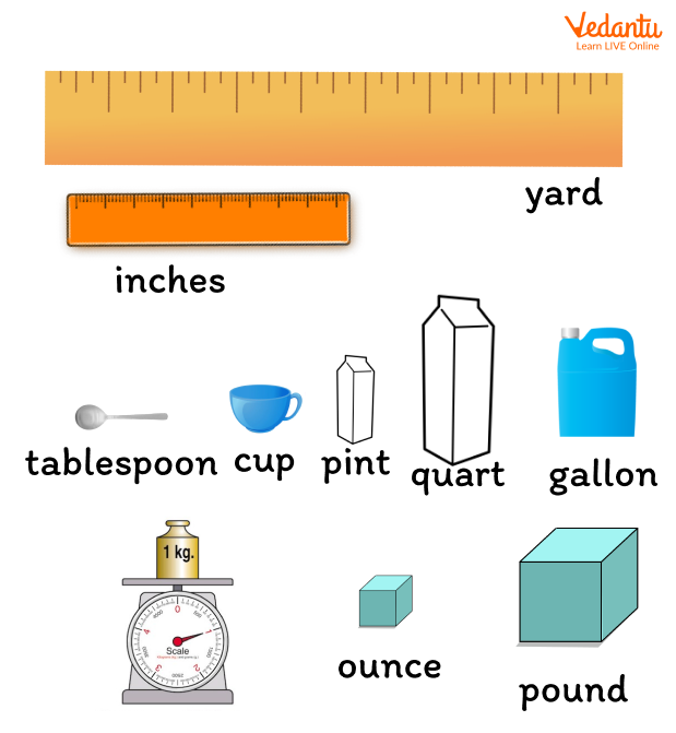 How Many Cups? Measuring Activity (Year 1)